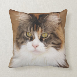 ふわふわメインクーンキャット クッション