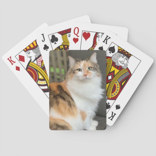 ふわふわ三毛猫 トランプ (裏面)