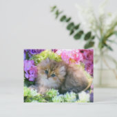 ふわふわ大切した猫のペット ポストカード (スタンド正面)