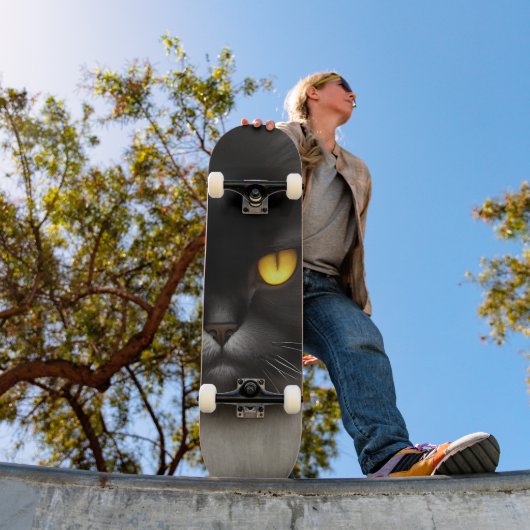 ふわふわ怒黒ペルシア猫顔ポートレート スケートボード (室外1)