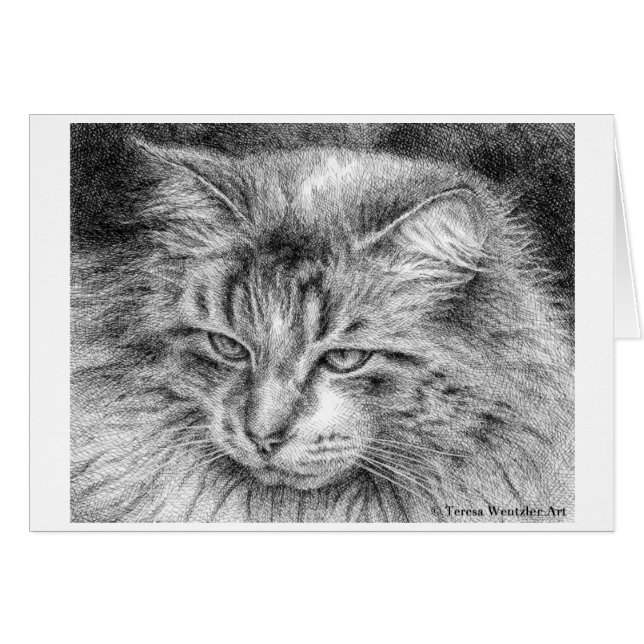 ふわふわ猫の肖像 ペンとインクの描画カード (正面横)
