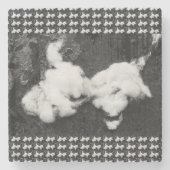 ふわふわ石のコースター ストーンコースター (正面)