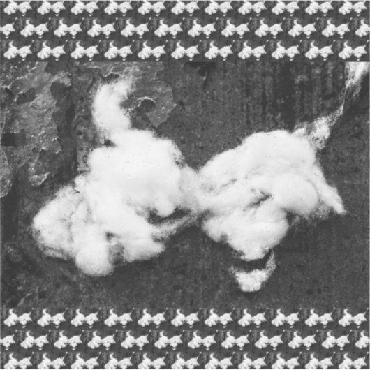 ふわふわ シール (正面)