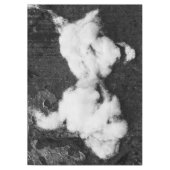 ふわふわ テーブルクロス (正面)