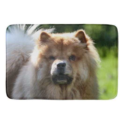 ふわふわ バスマット (正面)