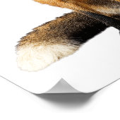 ふわふわ フォックス 泡を吹く かわいい動物の子供 ポスター (角)