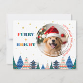 ふわふわ&ブライト かわいい犬の写真 シーズンカード (正面)