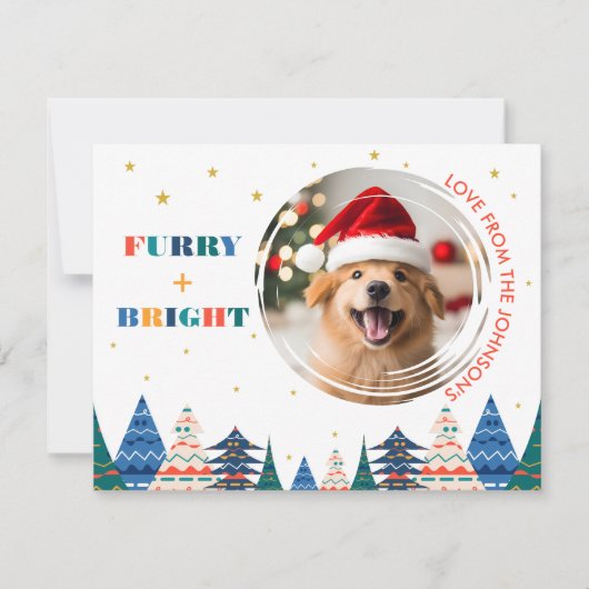 ふわふわ&ブライト かわいい犬の写真 シーズンカード (正面)