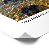 ふわふわ ポスター (角)