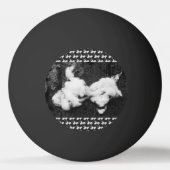 ふわふわ 卓球ボール (正面)