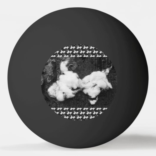 ふわふわ 卓球ボール (裏面)