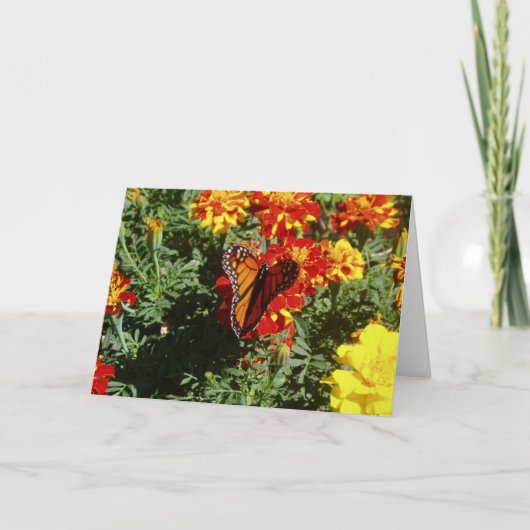 「ふわふわ」回復祈願カード カード (正面)