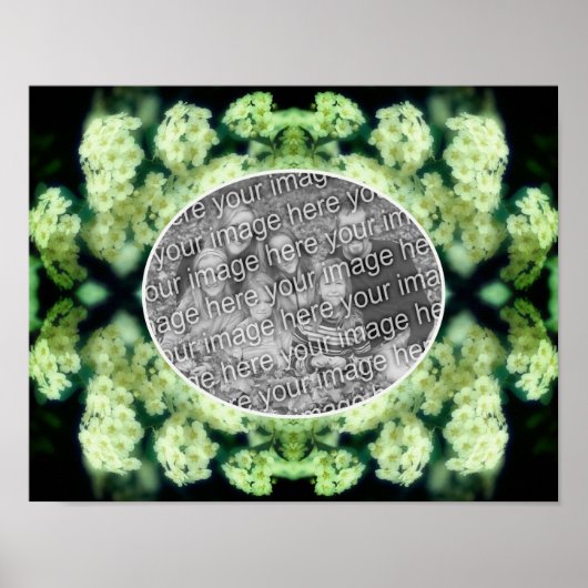 ふんわりとした優美な白い野生のバラ 自分だけの写真を作ろう ポスター (正面)