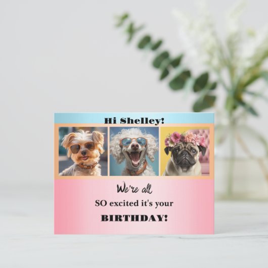 ふんわりガーリーおもしろ写真 パステル誕生日 ポストカード (スタンド正面)