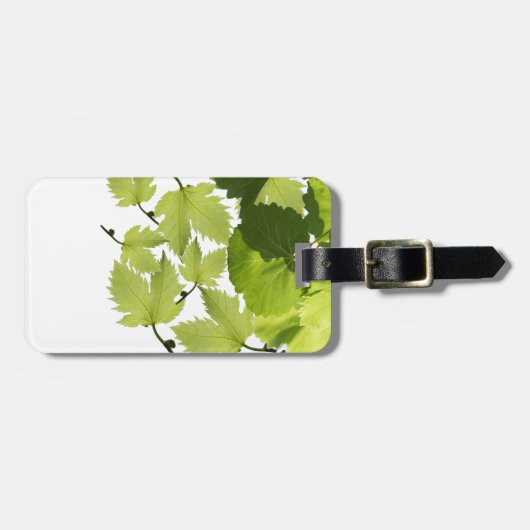 ぶどうつる植物グリーン葉ズ ラゲッジタグ (正面横)