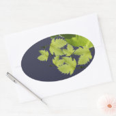 ぶどうつる植物グリーン葉ズ 楕円形シール (封筒)