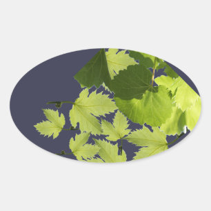 ぶどうつる植物グリーン葉ズ 楕円形シール