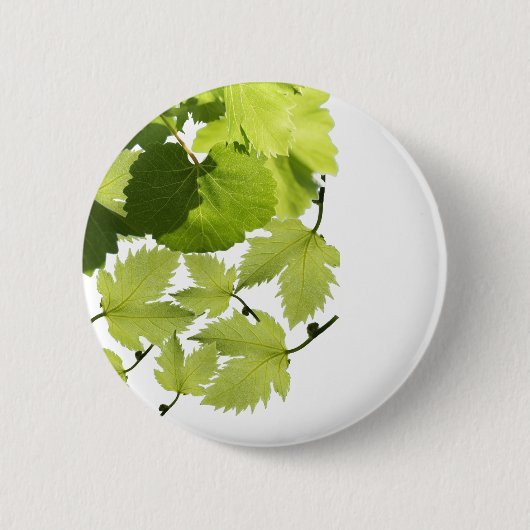 ぶどうつる植物グリーン葉ズ 缶バッジ (正面)