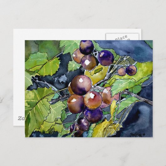 ぶどうつる植物フルーツスチルライフアートポストカード ポストカード (正面/裏面)