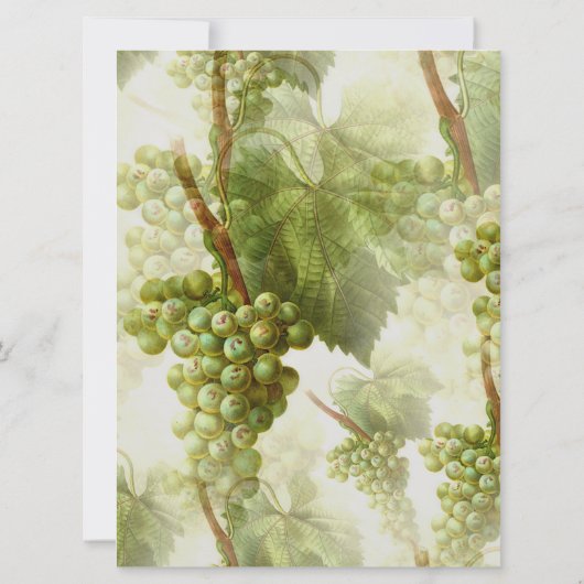 ぶどうつる植物ワイナリーをテーマにしたラージ結婚ズ 招待状 (裏面)