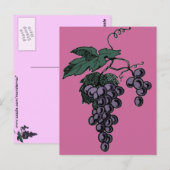 ぶどうつる植物葉書 ポストカード (正面/裏面)