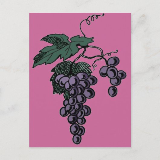 ぶどうつる植物葉書 ポストカード (正面)