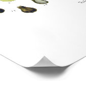 ぶどうつる植物 ポスター (角)