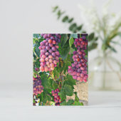 ぶどうつる植物 ポストカード (スタンド正面)