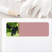 ぶどうつる植物 ラベル (インサイチュ)