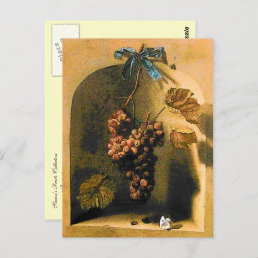 ぶどうの実が吊るされた古風なブドウ栽培、素朴なワイナリー ポストカード (正面/裏面)