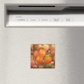 ぶどうの怒り マグネット (インサイチュ (食洗機))