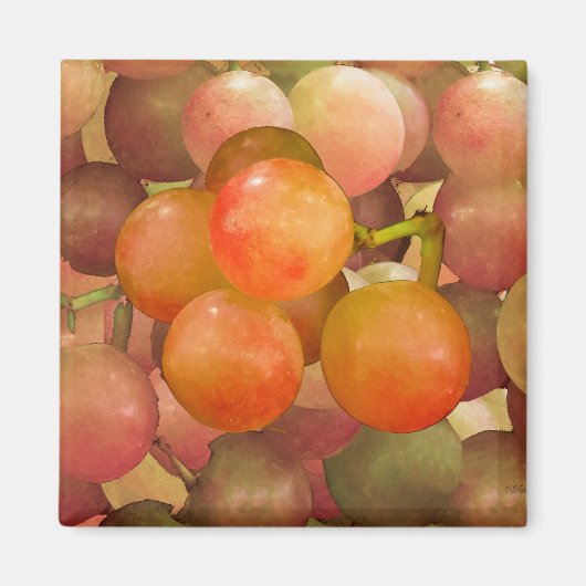 ぶどうの怒り マグネット (正面)