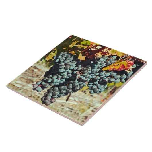 「ぶどうの房がつる植物」セラミック瓶 タイル (側面)