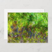 ぶどうの房（赤） ポストカード (正面/裏面)