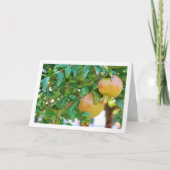 ぶどうの木の肖像 カード (正面)