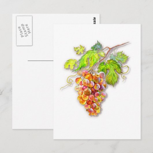ぶどうの束 ポストカード (正面/裏面)