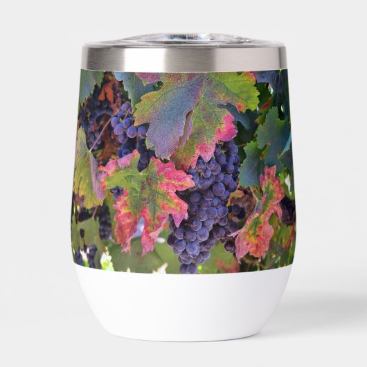 ぶどうの美しいワイングラス (正面)