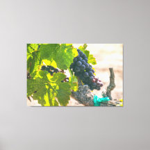 ぶどうオンつる植物