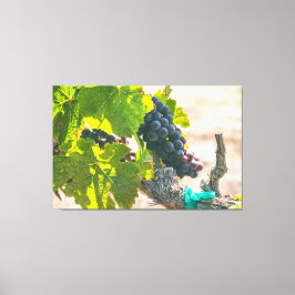 ぶどうオンつる植物 キャンバスプリント