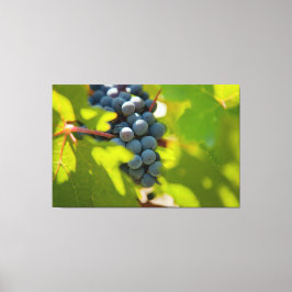 ぶどうオンつる植物 キャンバスプリント