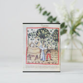 ぶどう収穫13世紀 ポストカード (スタンド正面)