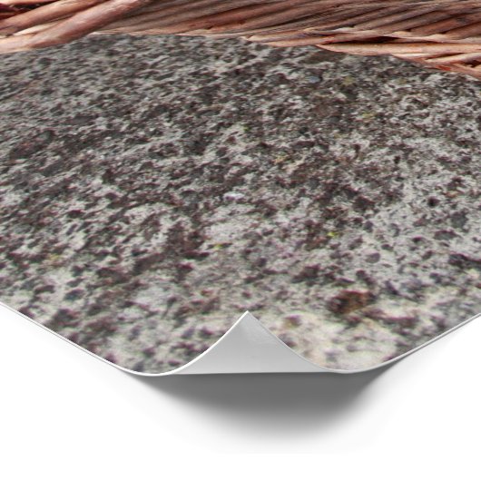 ぶどう収穫 ポスター (角)