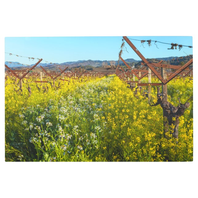 ぶどう園ワイルドフラワー メタルプリント (正面)