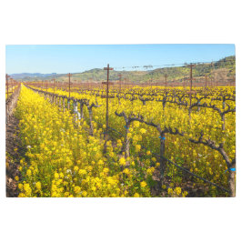 ぶどう園ワイルドフラワー メタルプリント