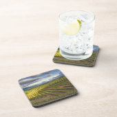 ぶどう園。ナパ·バレー。ナパ。ナパ郡 コースター (右側)