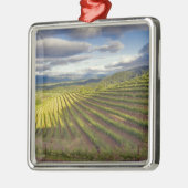ぶどう園。ナパ·バレー。ナパ。ナパ郡 メタルオーナメント (左)