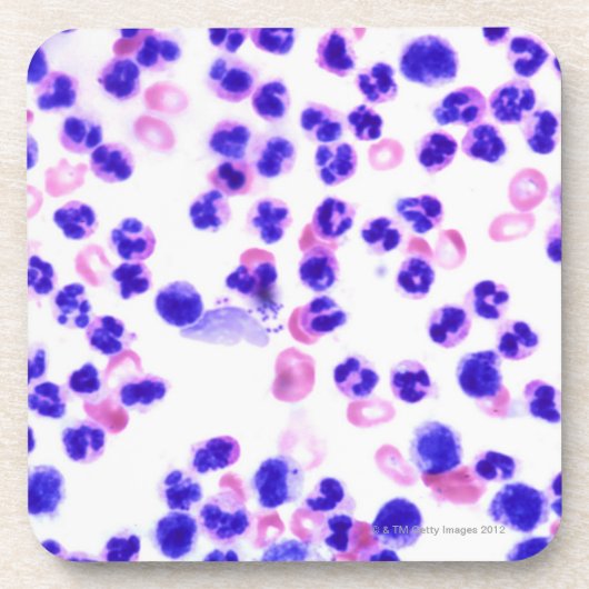 ぶどう球菌の伝染 コースター (正面)