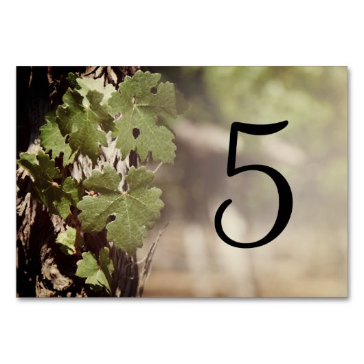 ぶどう離れのブドウ園のテーブル番号 テーブルナンバー (正面)