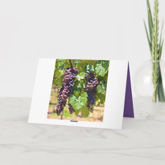 ぶどう カード (裏面)