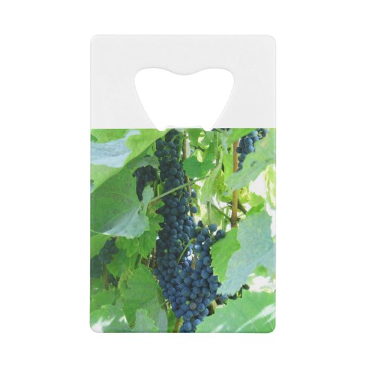 ぶどう クレジットカード栓抜き (正面)